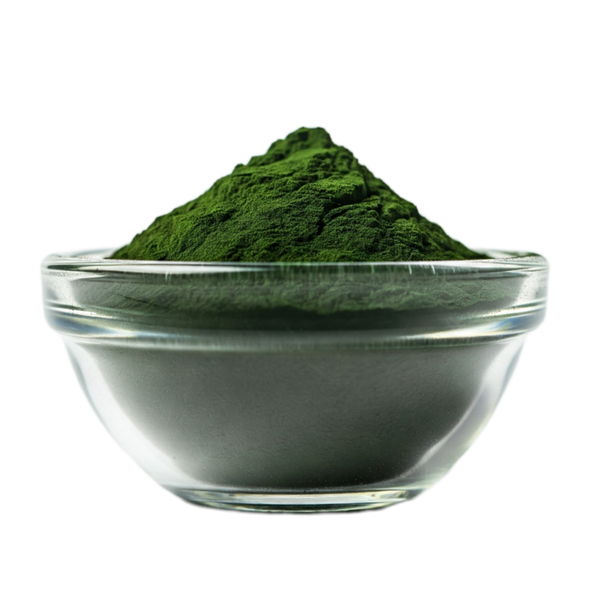 Chlorella