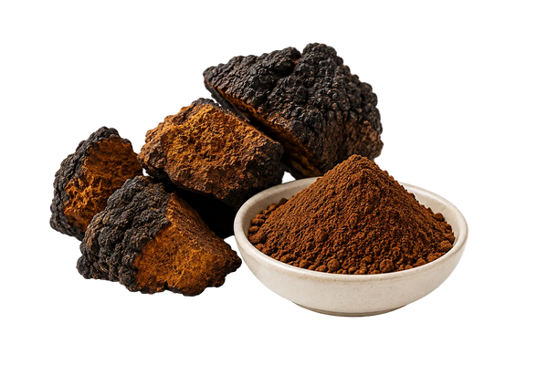 Chaga