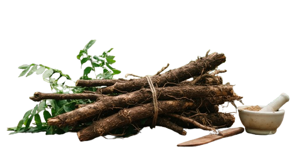 Tongkat Ali