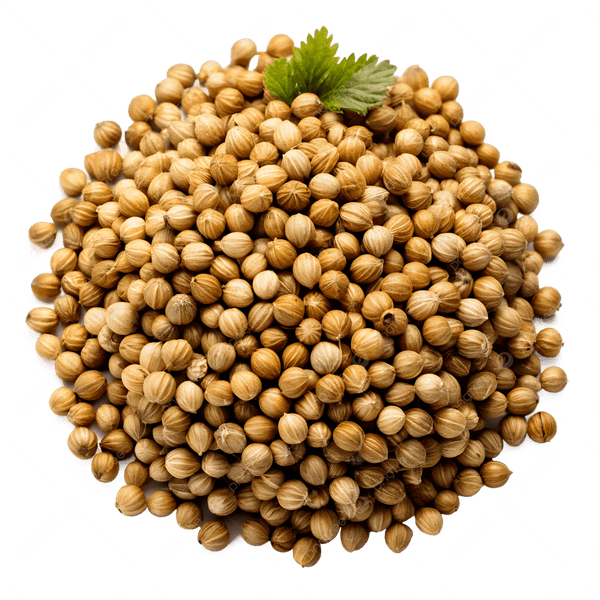 Coriander Seed
