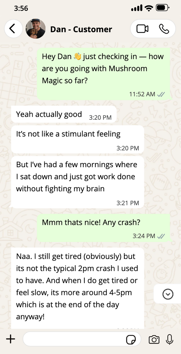 Dan, Customer · Mushroom Magic